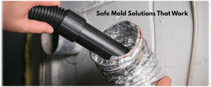 Air Duct Mold Removal in Zion IL