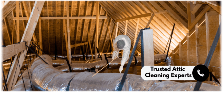 Attic Cleaning Zion IL