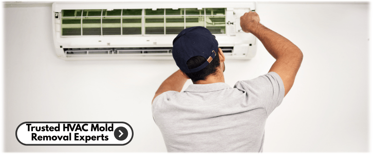 HVAC Mold Removal Zion IL